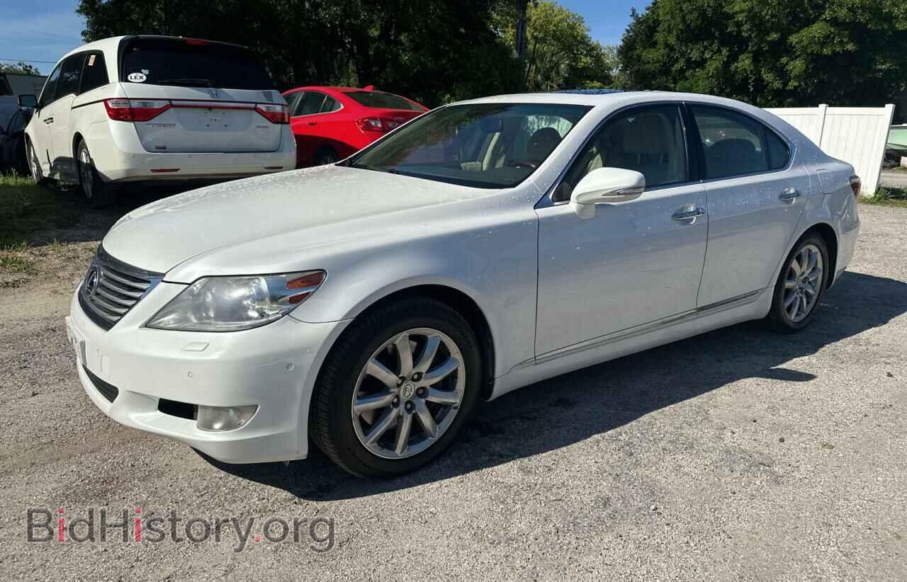 2010 LEXUS LS460 - VIN: JTHCL5EF5A5007141 - Фото 2