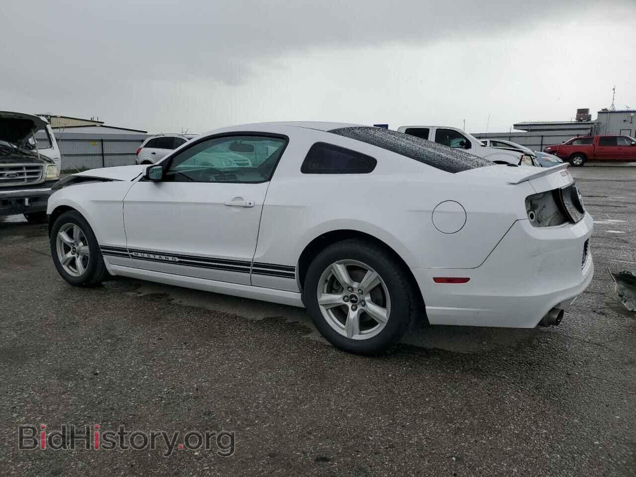 2014 FORD ALL Models - VIN: 1ZVBP8AM5E5201761 - Фото 2
