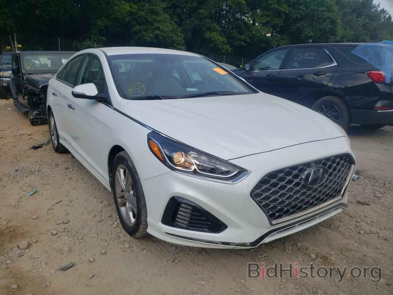 Photo 5NPE34AF5KH790652 - HYUNDAI SONATA 2019