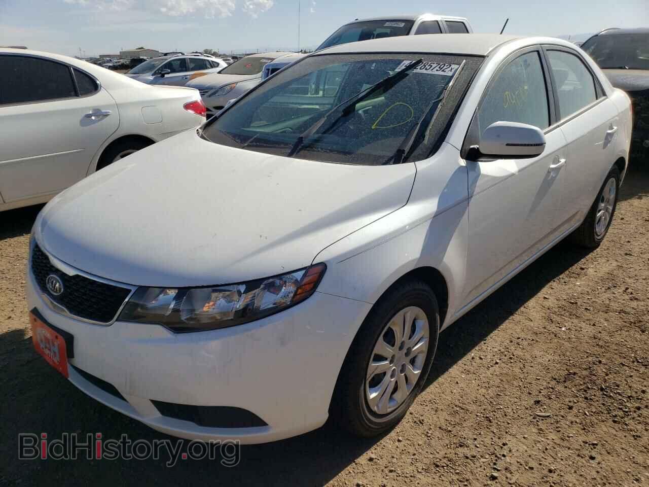 2012 KIA FORTE - VIN: KNAFU4A20C5643460 - Фото 2