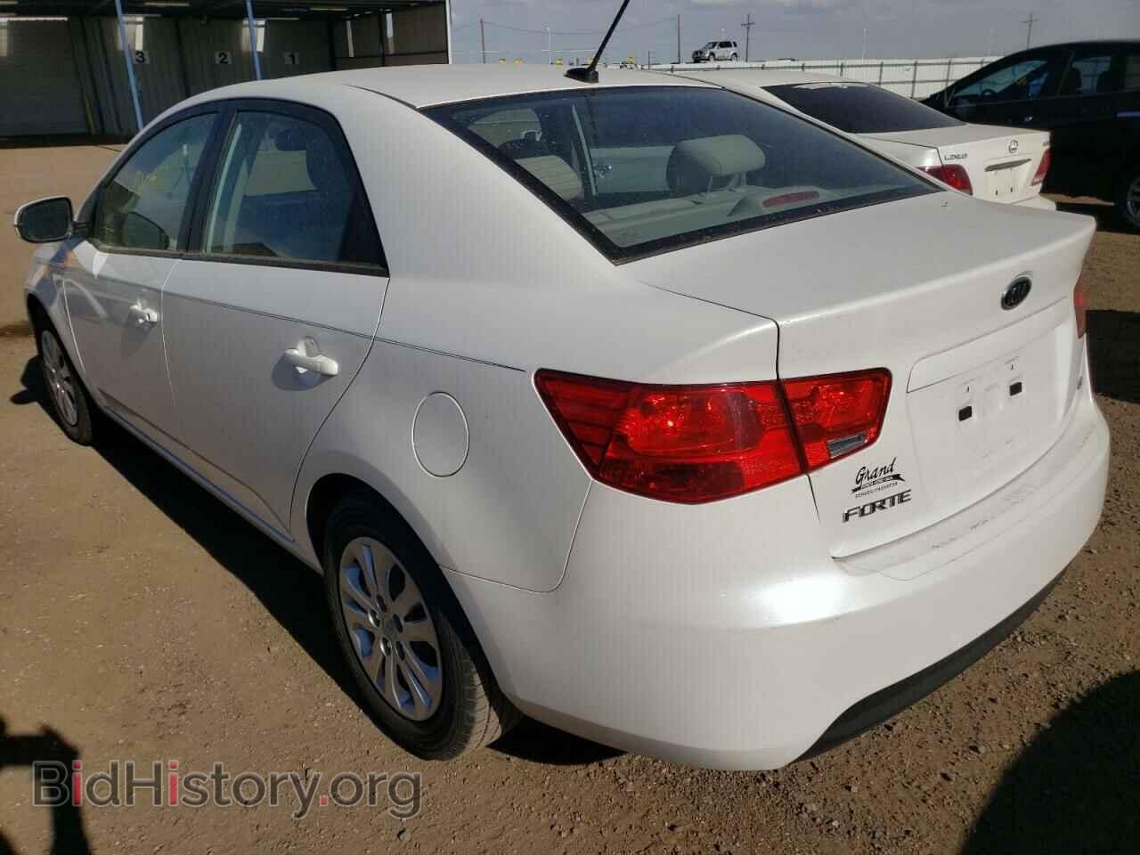 2012 KIA FORTE - VIN: KNAFU4A20C5643460 - Фото 3