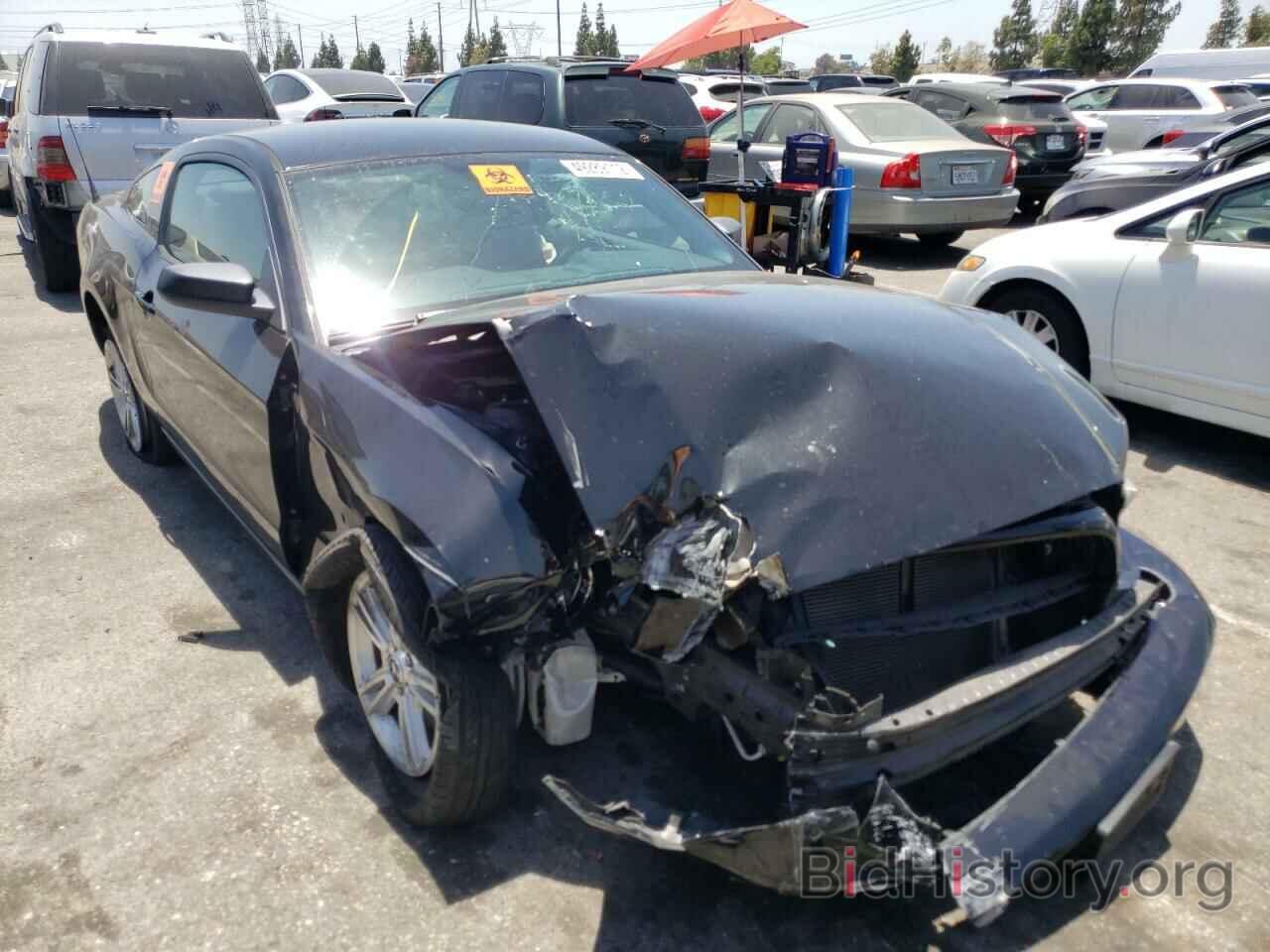Photo 1ZVBP8AM8D5276047 - FORD MUSTANG 2013