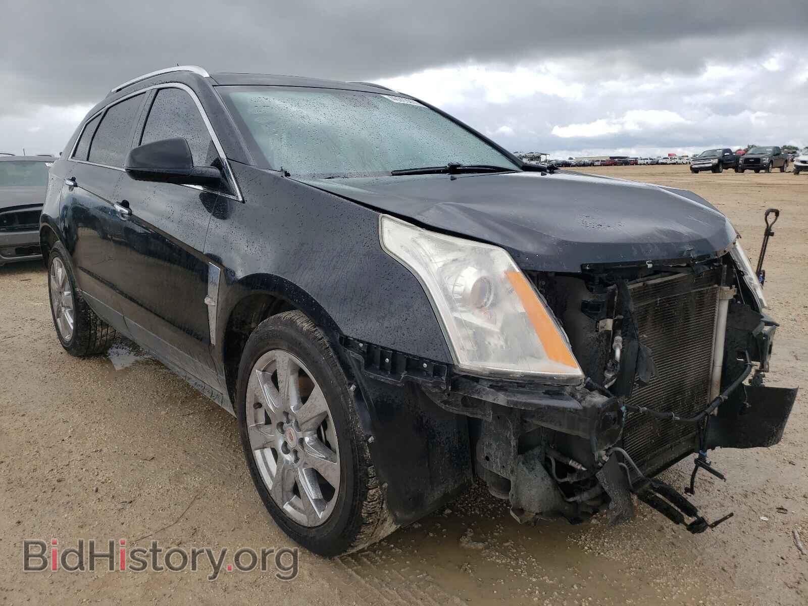Фотография 3GYFNCE33CS590668 - CADILLAC SRX 2012