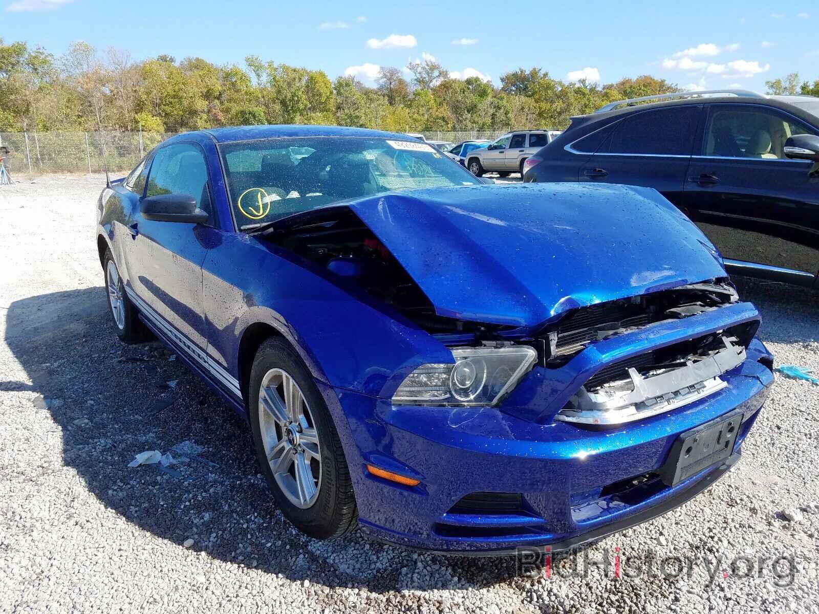 Photo 1ZVBP8AM8D5218732 - FORD MUSTANG 2013