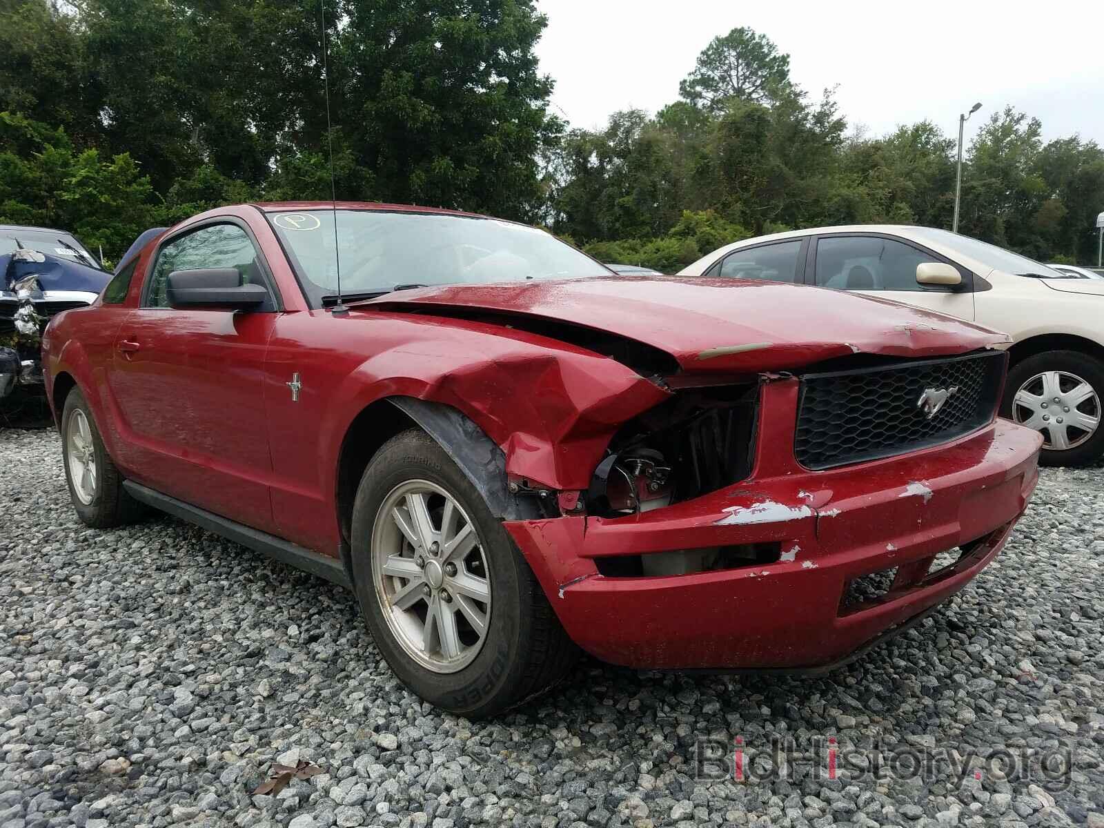 Photo 1ZVHT80N585139881 - FORD MUSTANG 2008