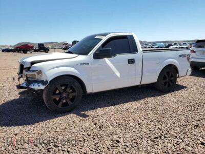 2013 Ford ALL MODELS, белый — VIN 1FTMF1CM2DKF37273, Copart