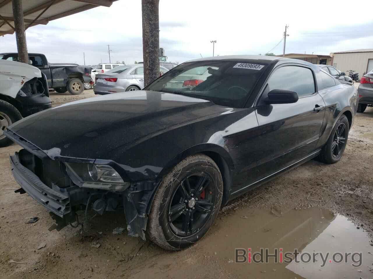 Photo 1ZVBP8AM8D5282091 - FORD MUSTANG 2013