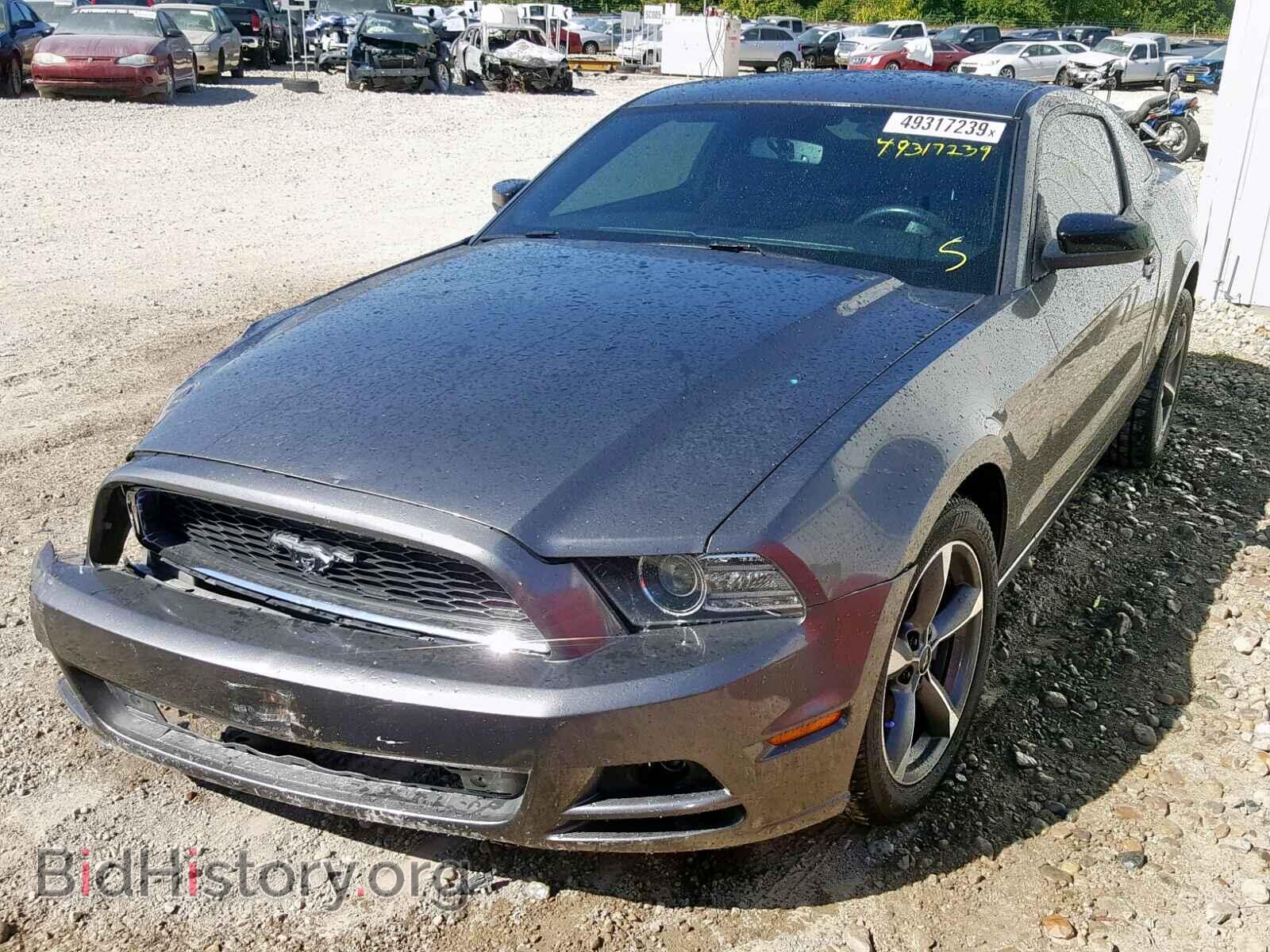 2014 FORD MUSTANG - VIN: 1ZVBP8AM7E5299076 - Фото 2