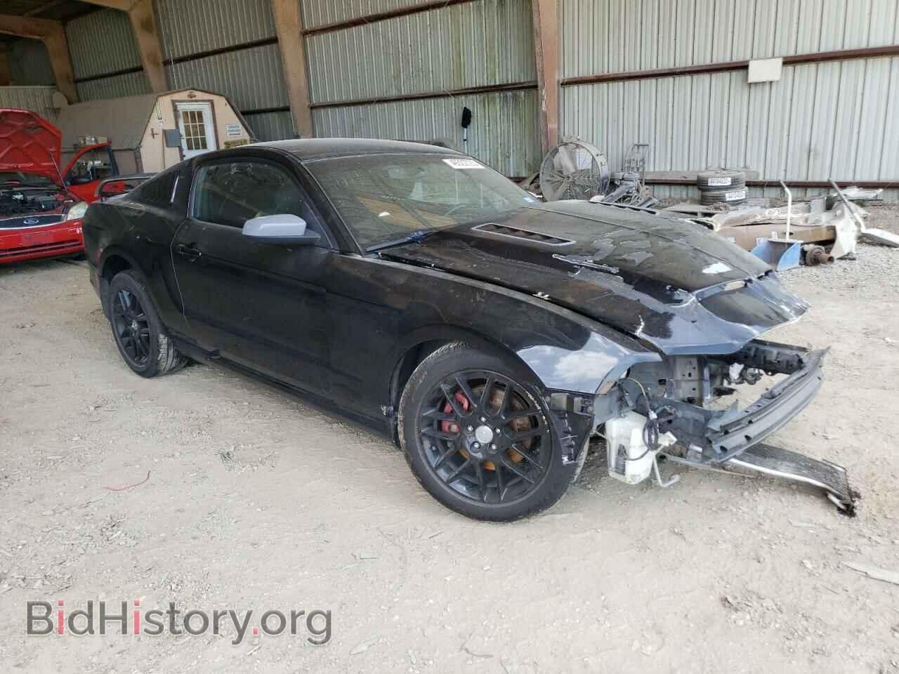 2014 FORD MUSTANG - VIN: 1ZVBP8AM1E5231419 - Фото 4