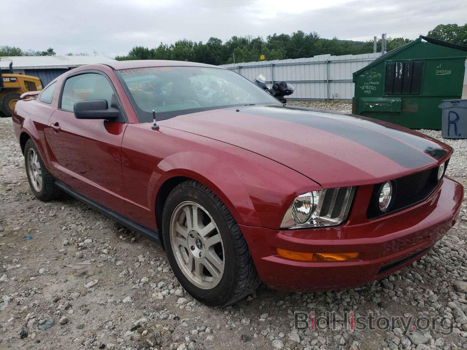 Photo 1ZVHT82H585164061 - FORD MUSTANG 2008