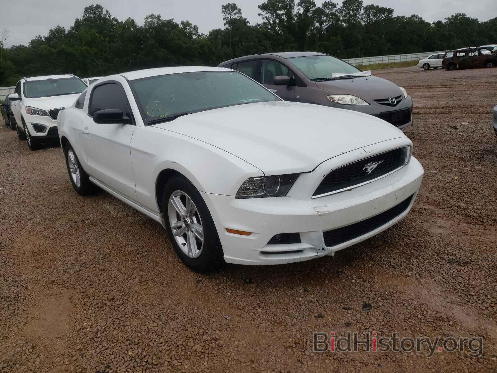 Photo 1ZVBP8AM0E5201943 - FORD MUSTANG 2014