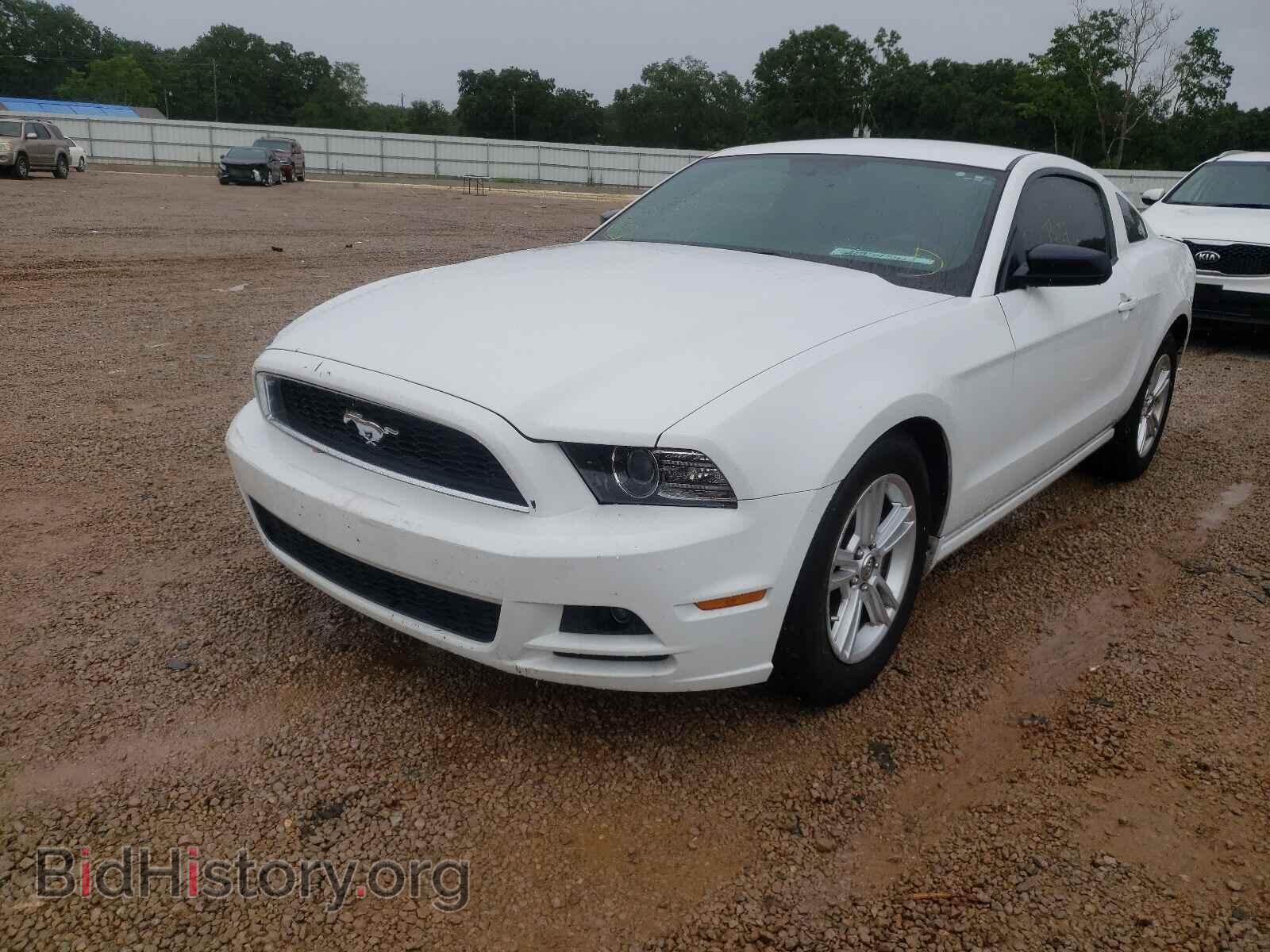 2014 FORD MUSTANG - VIN: 1ZVBP8AM0E5201943 - Фото 2