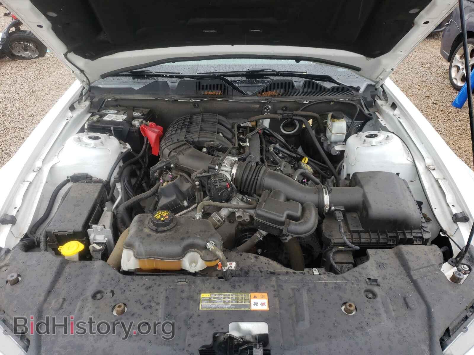 2014 FORD MUSTANG - VIN: 1ZVBP8AM0E5201943 - Фото 7
