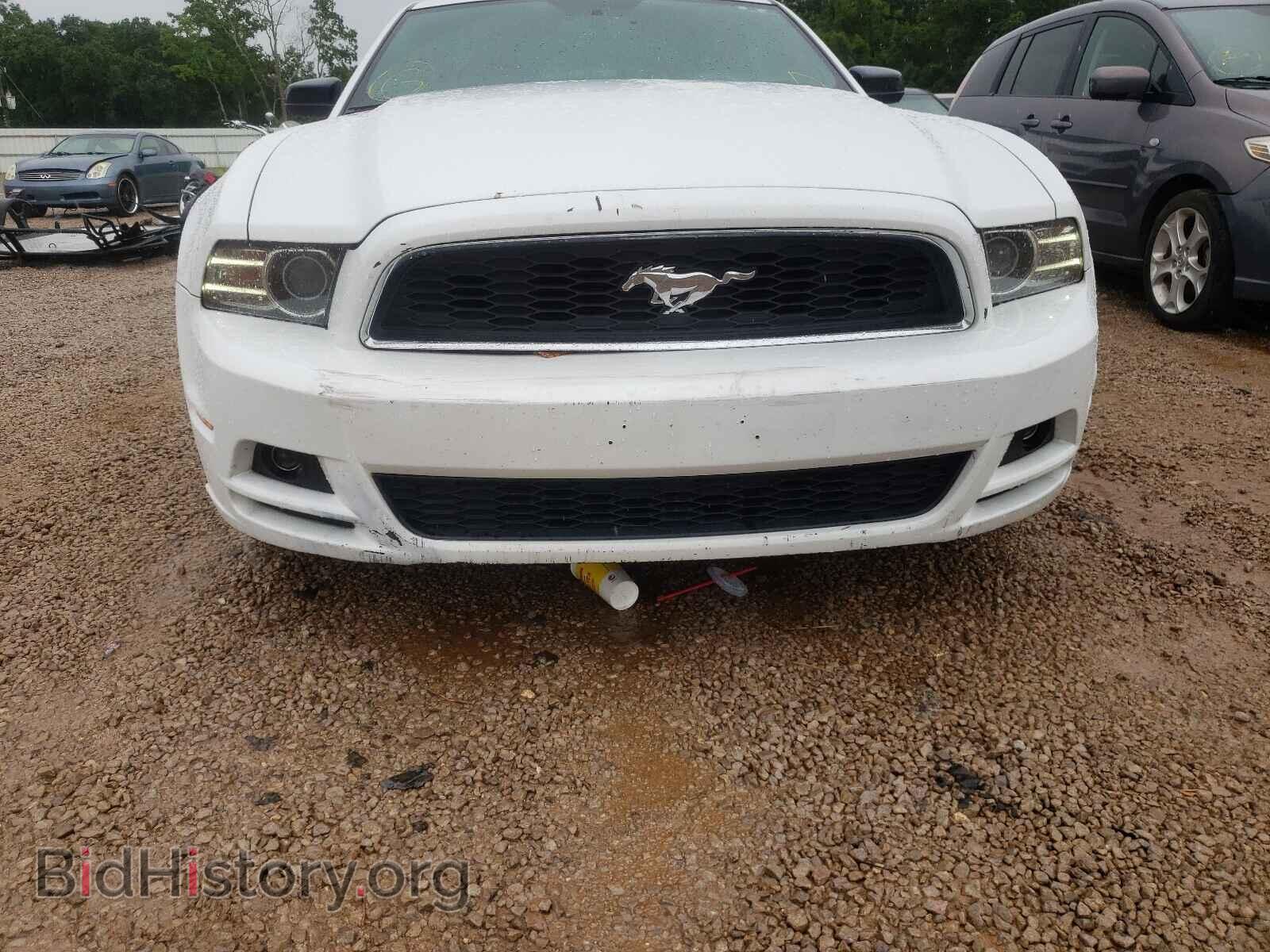 2014 FORD MUSTANG - VIN: 1ZVBP8AM0E5201943 - Фото 9