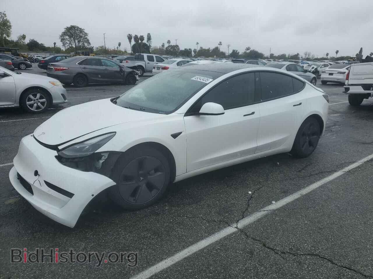 Photo 5YJ3E1EA9MF929634 - TESLA MODEL 3 2021