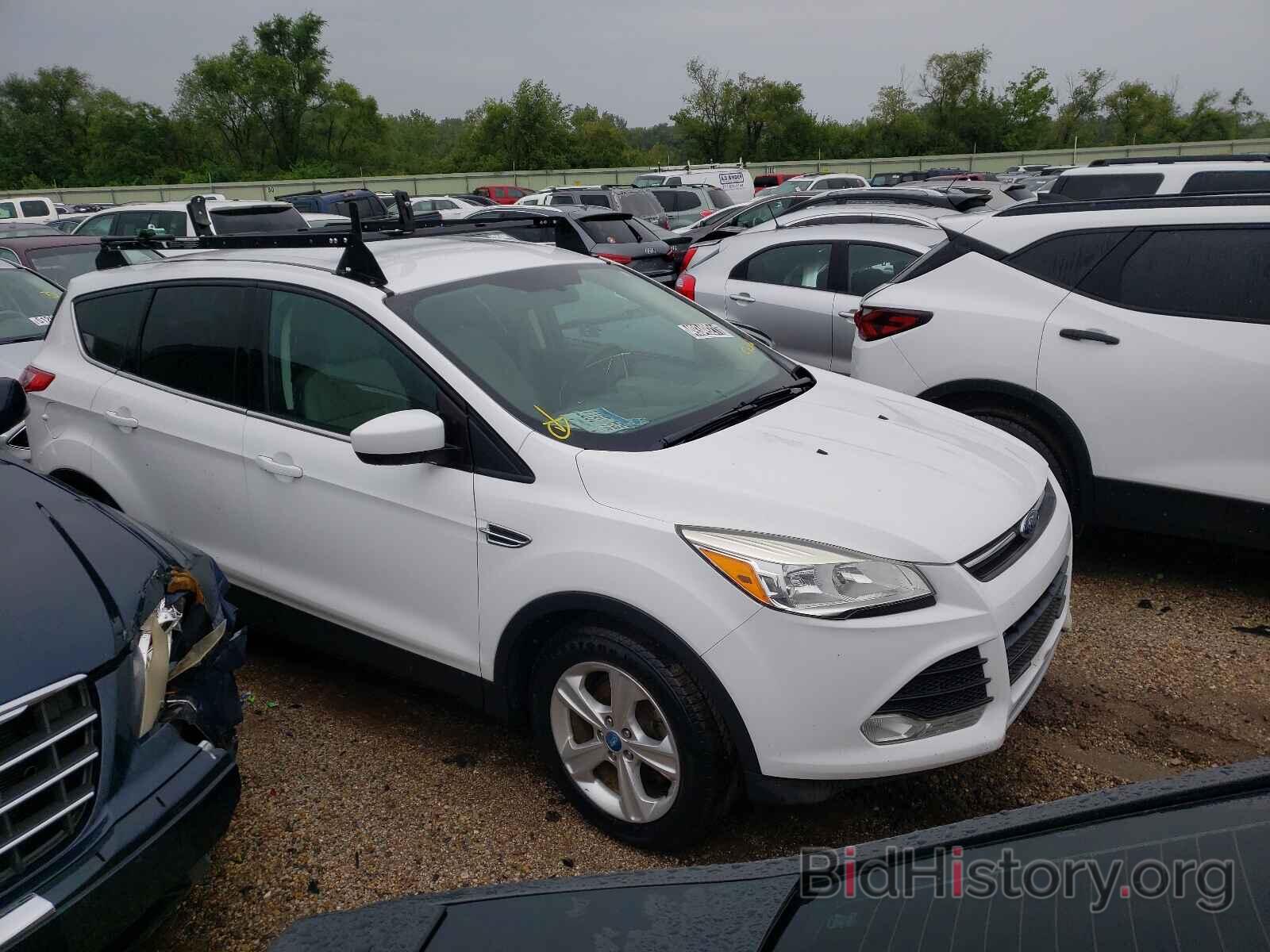 Photo 1FMCU0GX7DUC63102 - FORD ESCAPE 2013