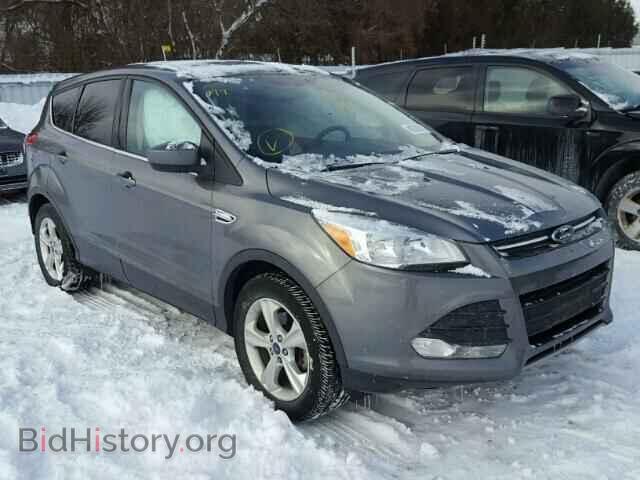 Фотография 1FMCU0GX9EUC94899 - FORD ESCAPE 2014