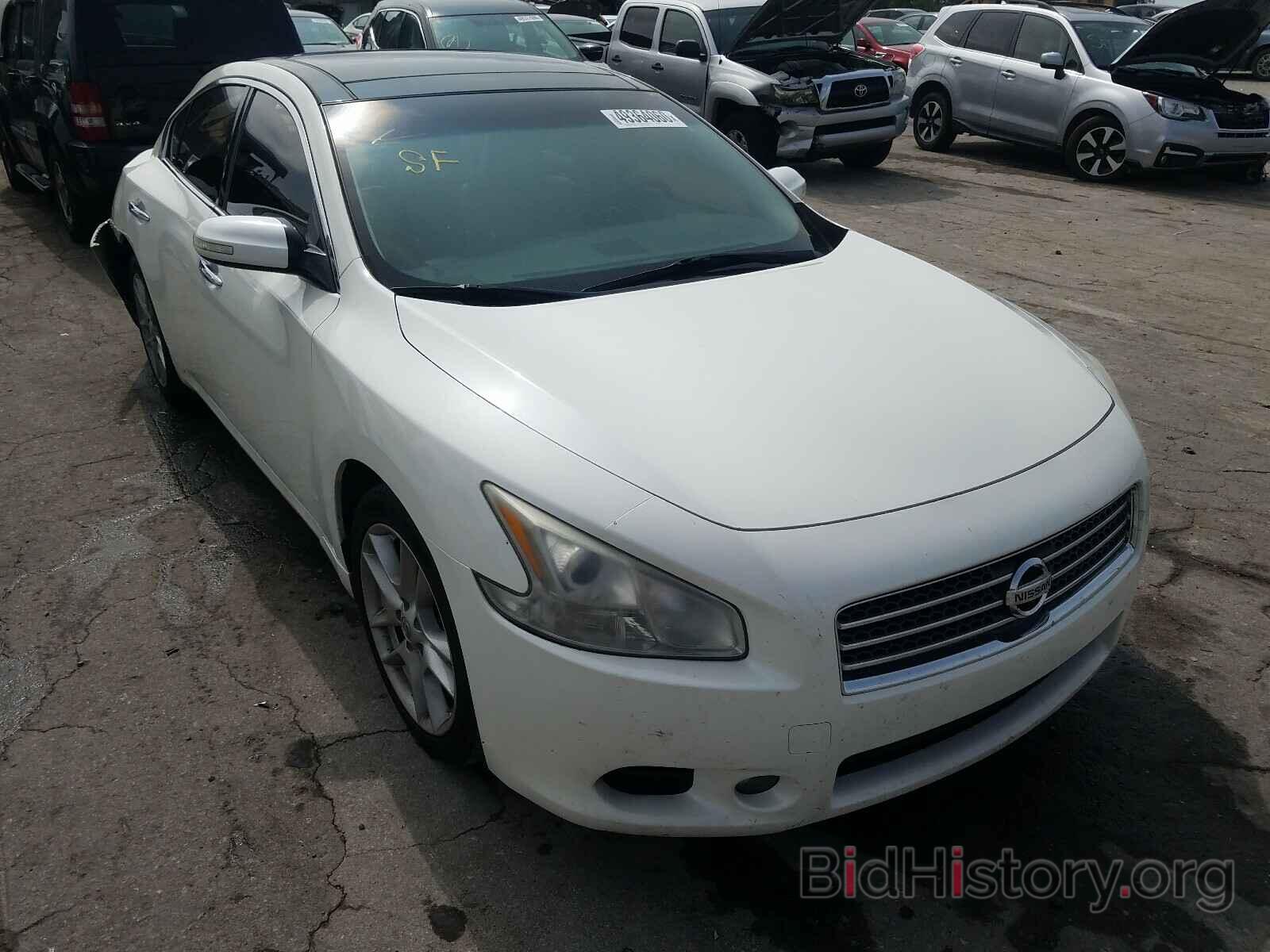 Photo 1N4AA5AP8BC836608 - NISSAN MAXIMA 2011