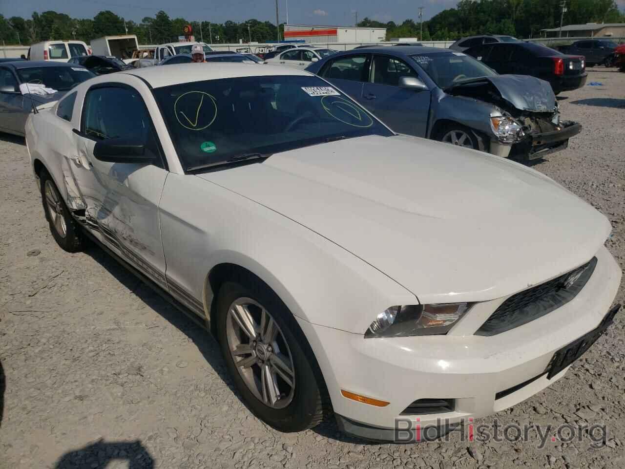 Photo 1ZVBP8AM1C5229571 - FORD MUSTANG 2012