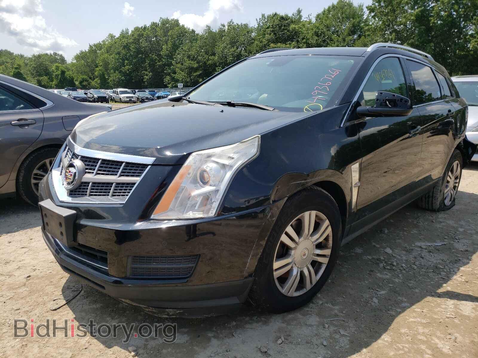 2011 CADILLAC SRX - VIN: 3GYFNDEY4BS673669 - Фото 2