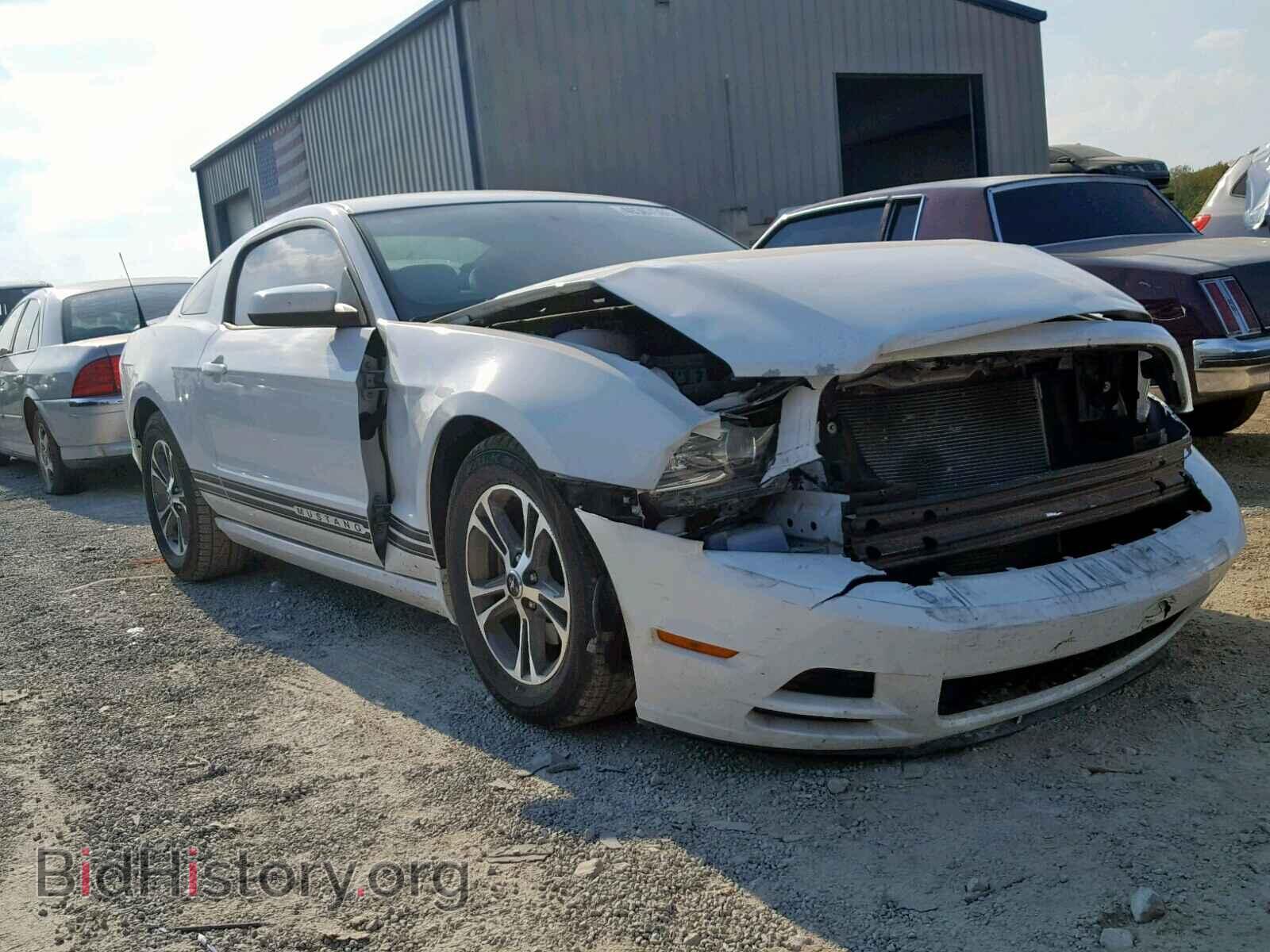 Фотография 1ZVBP8AM7E5201406 - FORD MUSTANG 2014