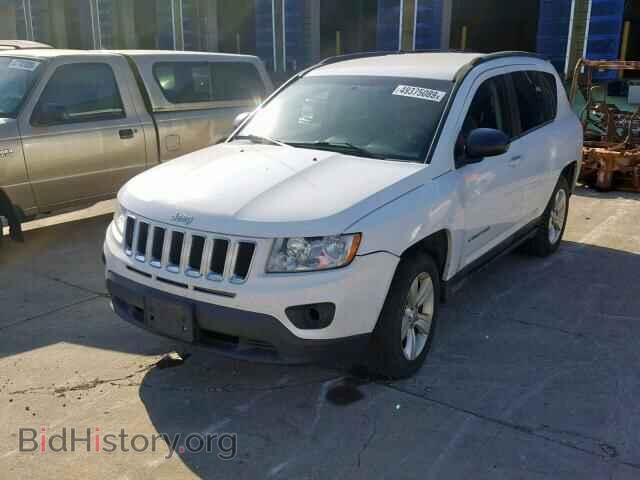 2011 JEEP COMPASS SP - VIN: 1J4NF1FB8BD188310 - Фото 2