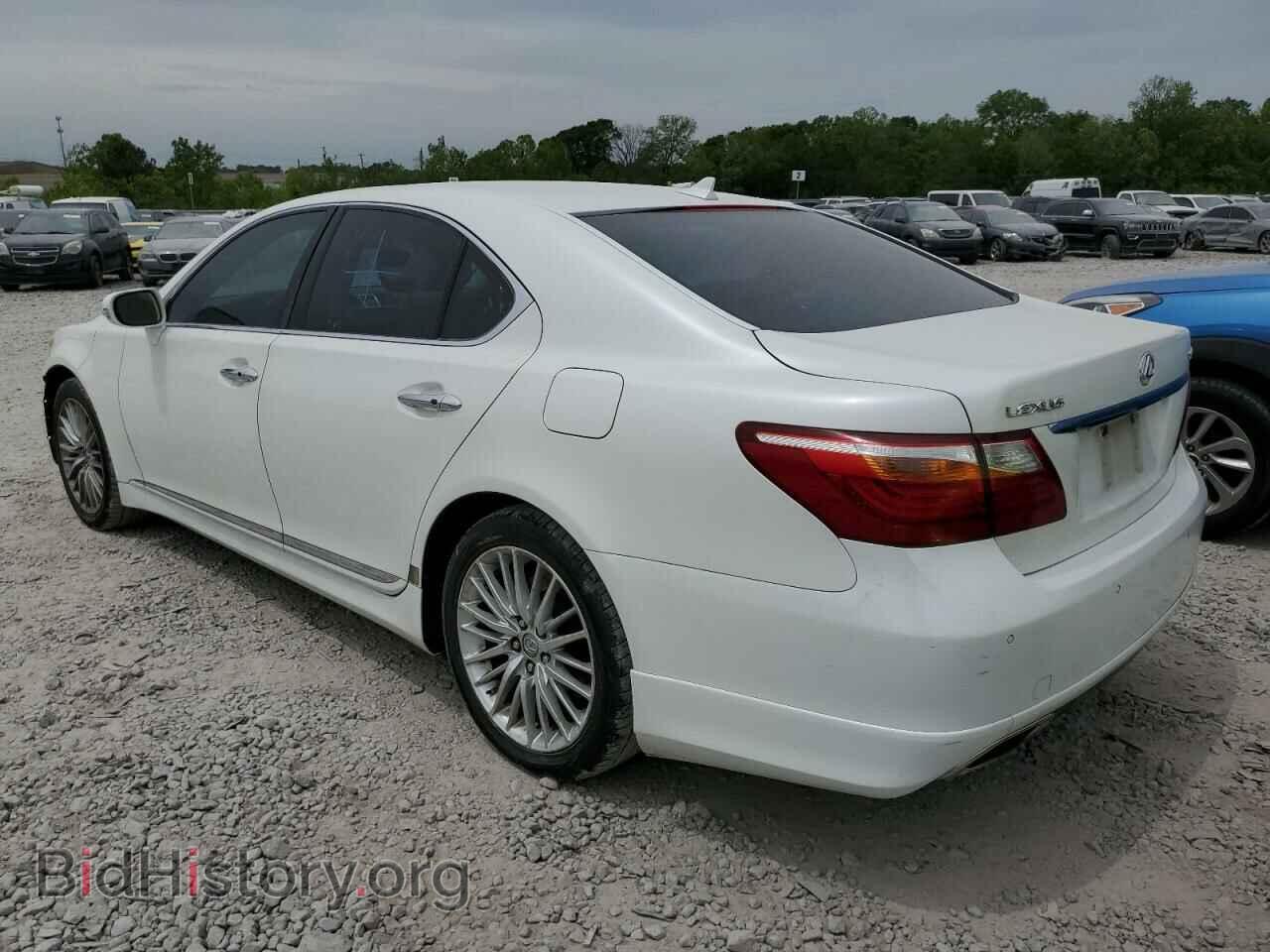 2010 LEXUS LS460 - VIN: JTHBL5EF9A5099141 - Фото 2