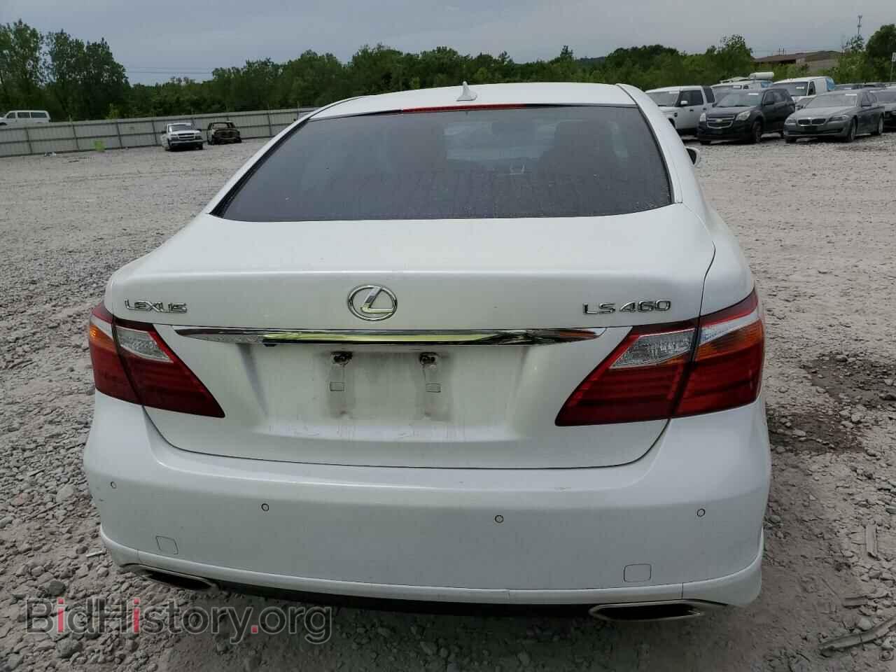 2010 LEXUS LS460 - VIN: JTHBL5EF9A5099141 - Фото 6