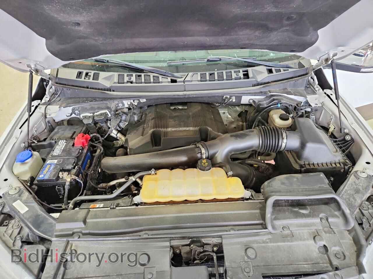 2019 FORD F150 - VIN: 1FTEW1E46KFA10635 - Фото 11
