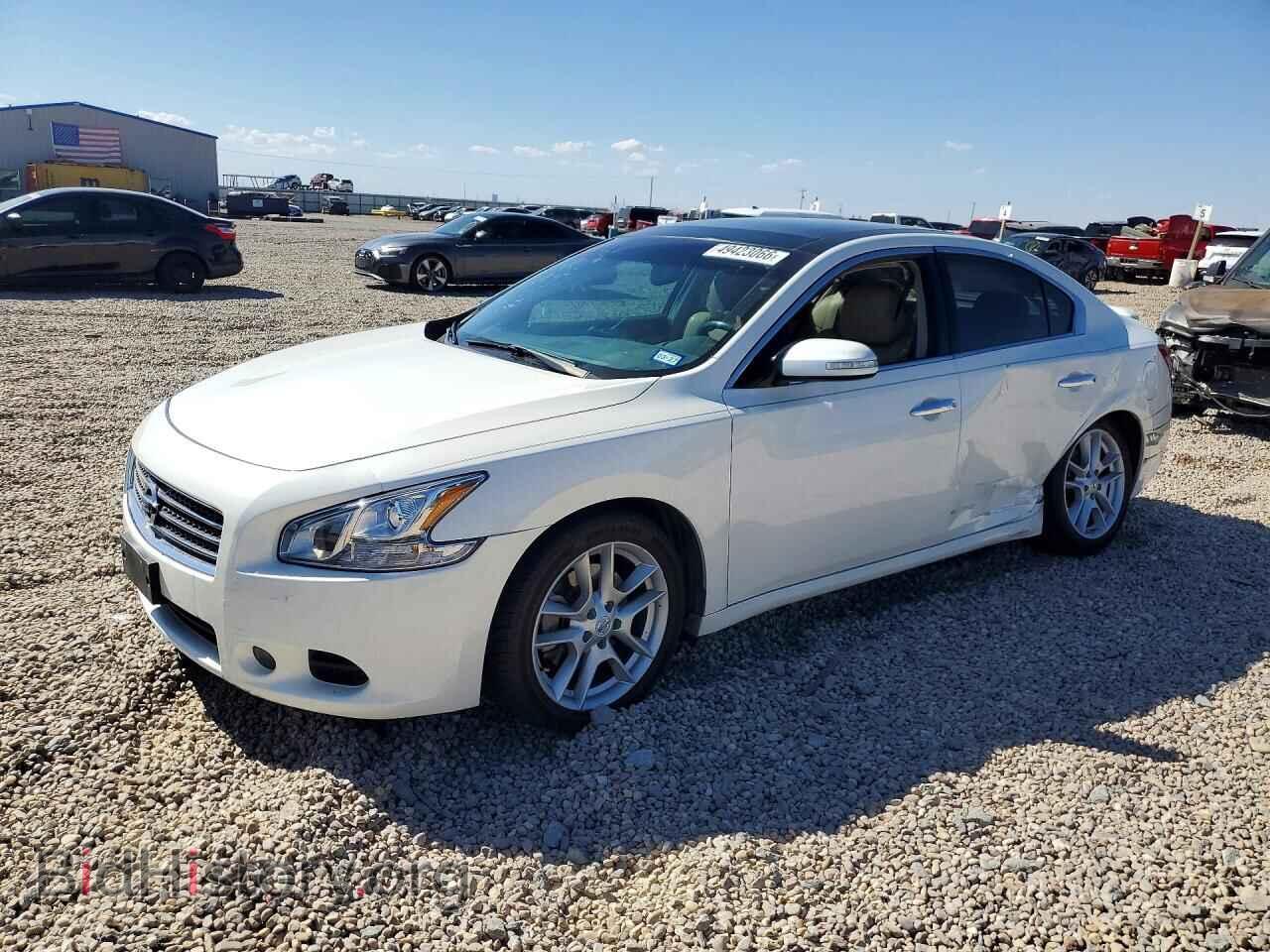 Фотография 1N4AA51E39C837965 - NISSAN MAXIMA 2009