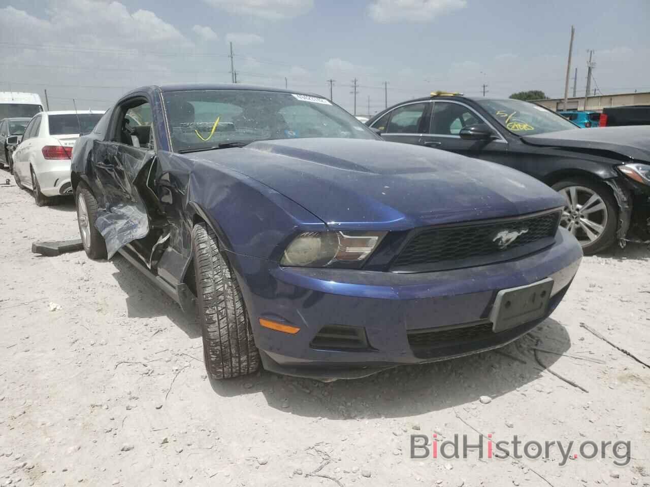 Photo 1ZVBP8AN8A5153904 - FORD MUSTANG 2010