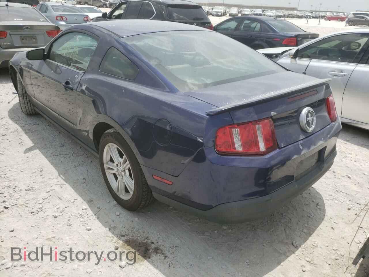 2010 FORD MUSTANG - VIN: 1ZVBP8AN8A5153904 - Фото 3