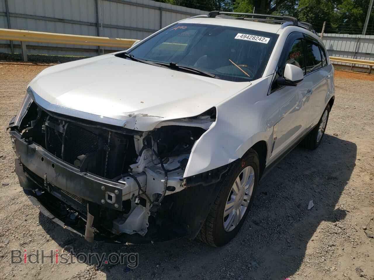 2010 CADILLAC SRX - VIN: 3GYFNAEY9AS565075 - Фото 2