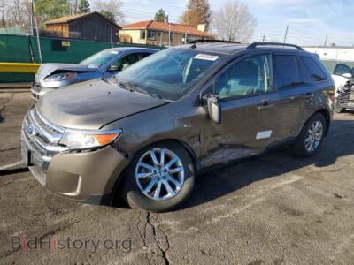 2013 Ford EDGE SEL, коричневый — VIN 2FMDK4JC8DBA68249, Copart