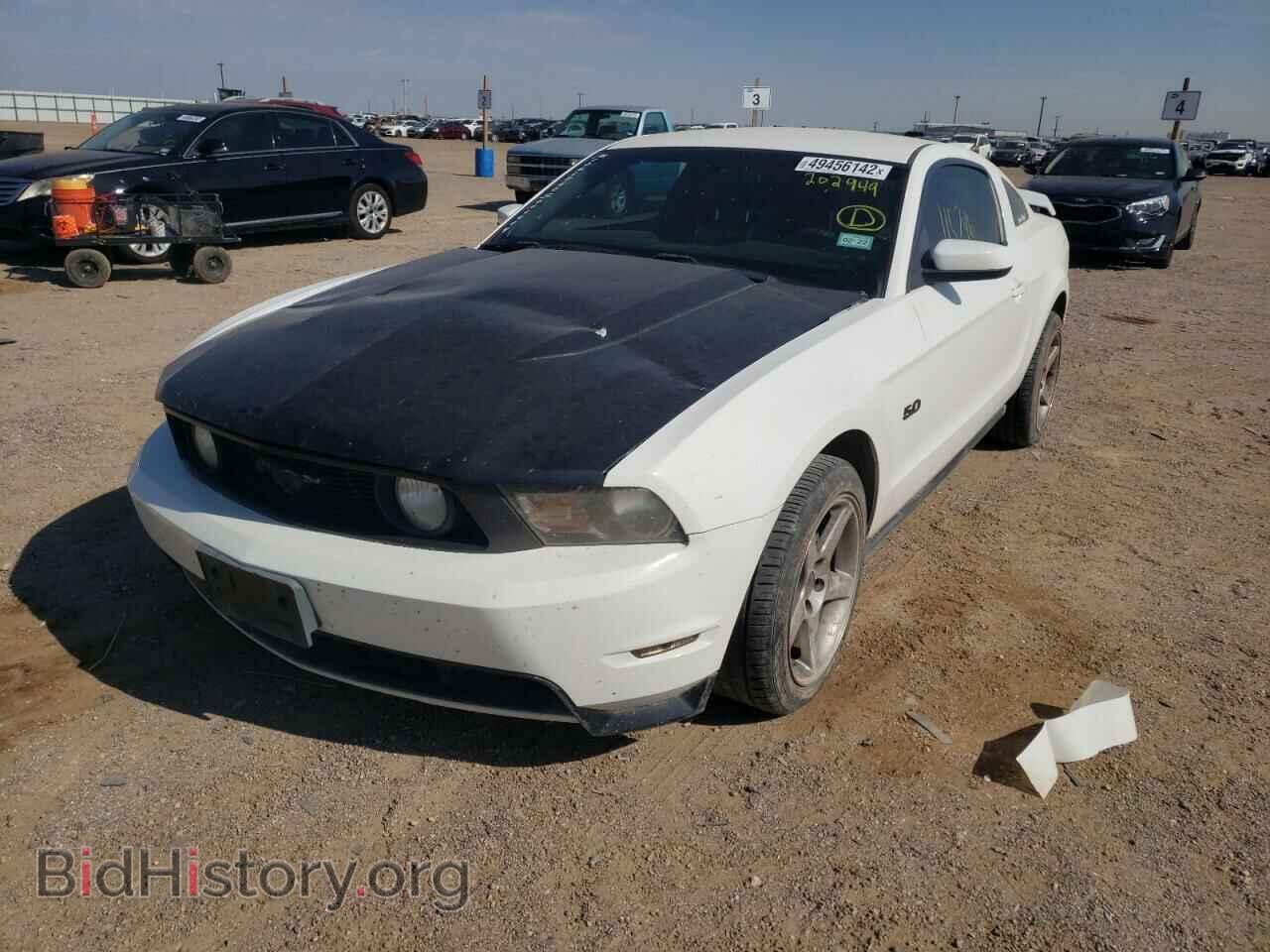 2012 FORD MUSTANG - VIN: 1ZVBP8CF1C5202949 - Фото 2