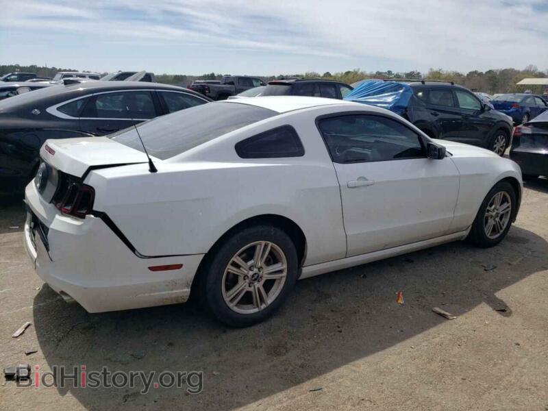 2014 Ford ALL MODELS (VIN 1ZVBP8AM8E5214536) — photo 3 of 12