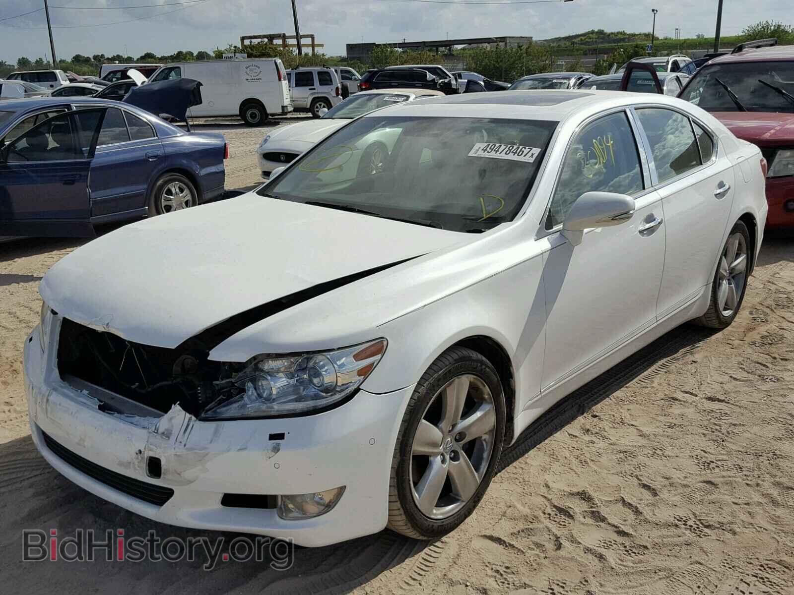 2011 LEXUS LS460 - VIN: JTHBL5EF8B5105559 - Фото 2
