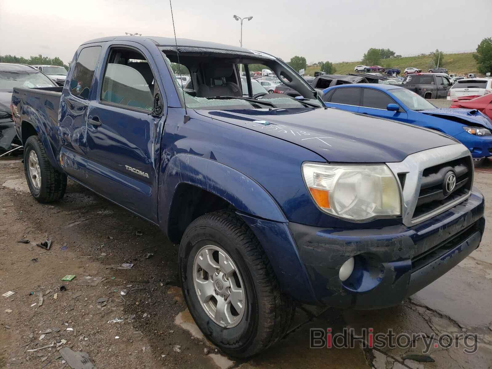 Photo 5TEUU42N97Z384523 - TOYOTA TACOMA 2007