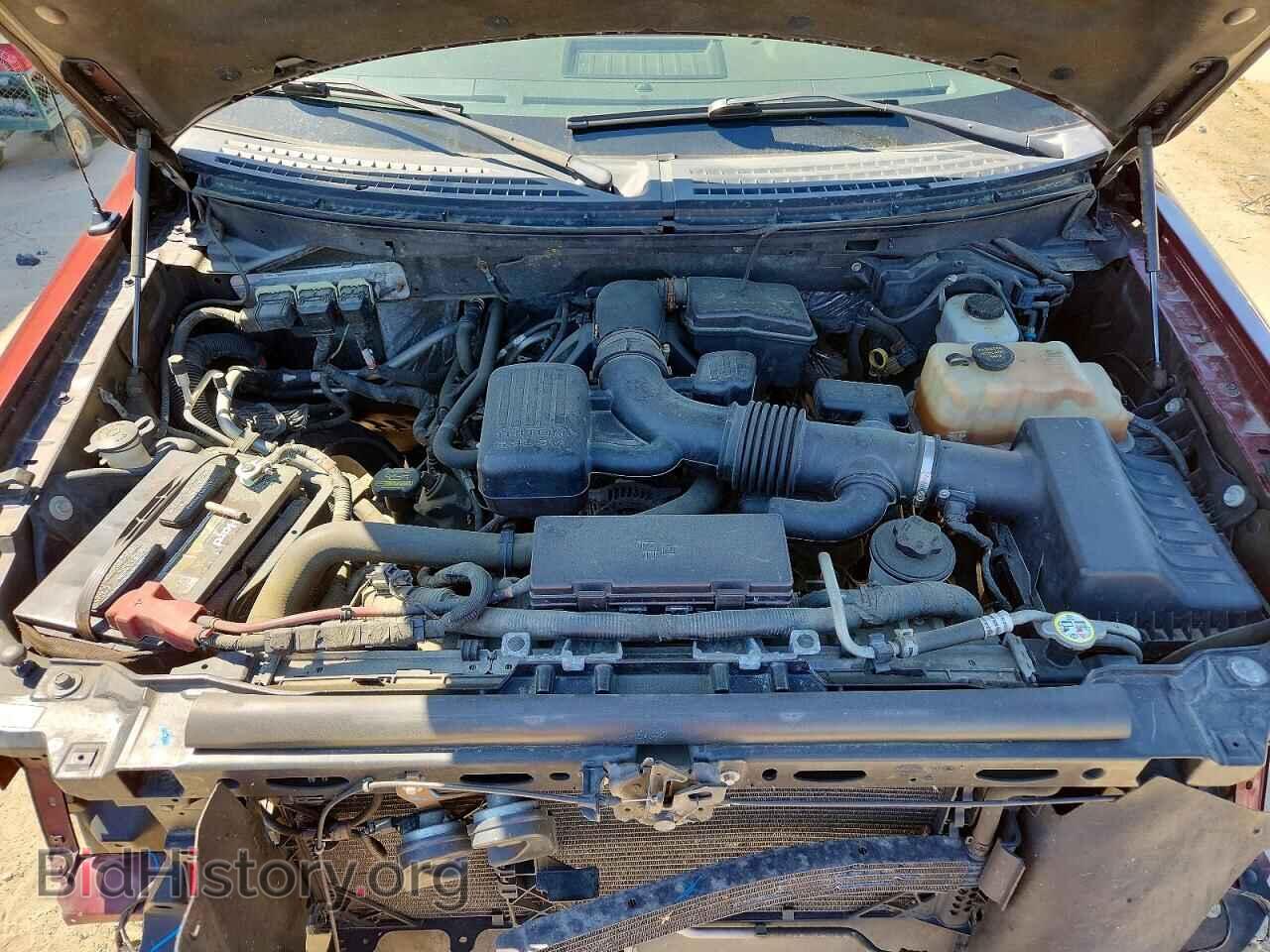 2010 FORD All Models - VIN: 1FTFX1EV7AFB75862 - Фото 11
