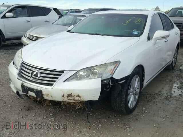 2010 LEXUS ES350 - VIN: JTHBK1EG9A2381740 - Фото 2