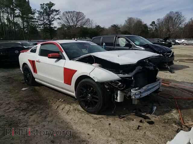 2014 FORD ALL Models - VIN: 1ZVBP8AM4E5249512 - Photo 14