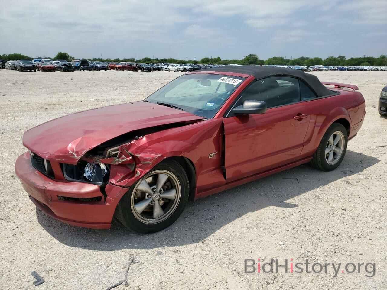 Photo 1ZVHT85H885152840 - FORD MUSTANG 2008