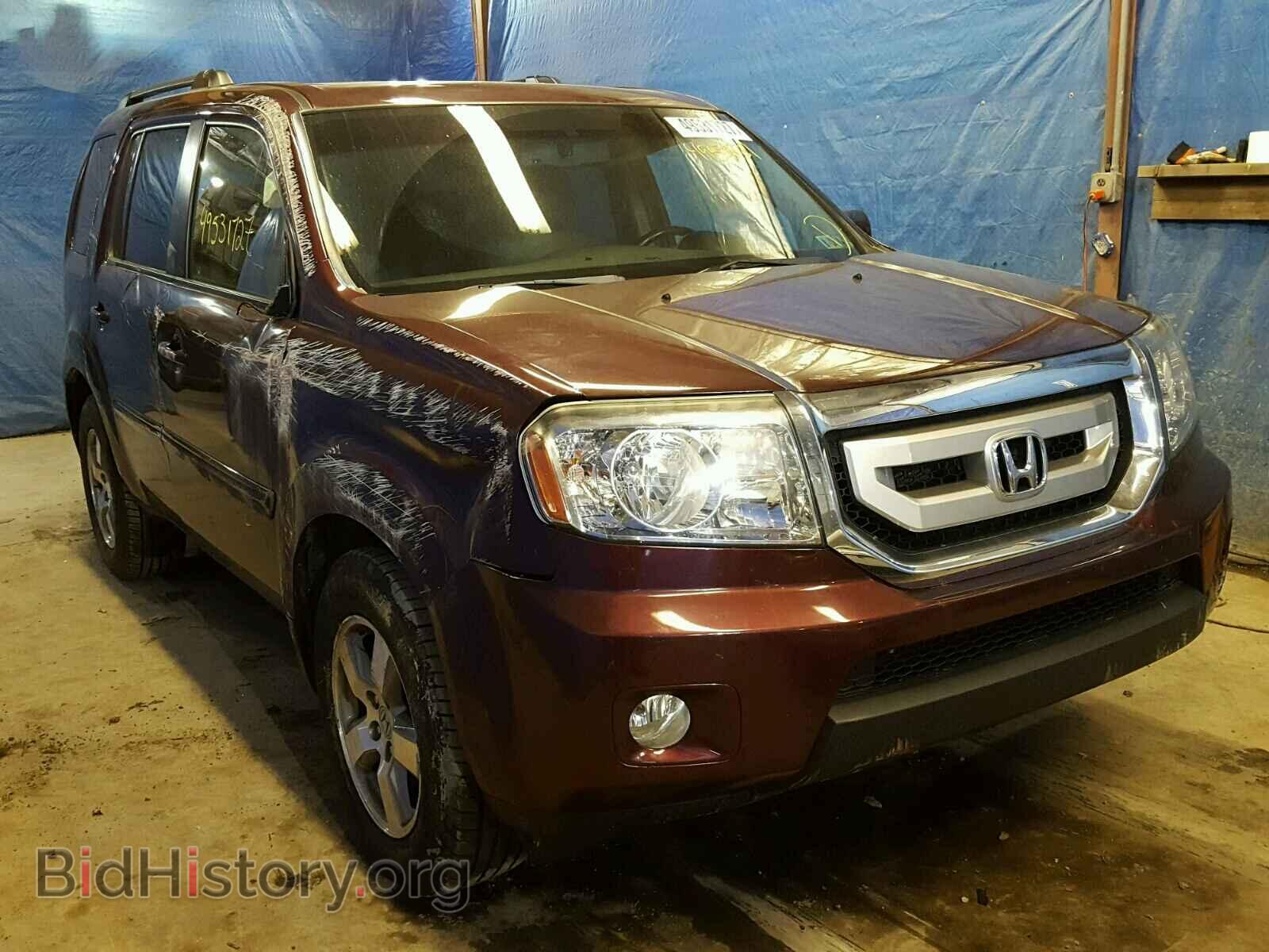 Фотография 5FNYF4H59BB016839 - HONDA PILOT 2011