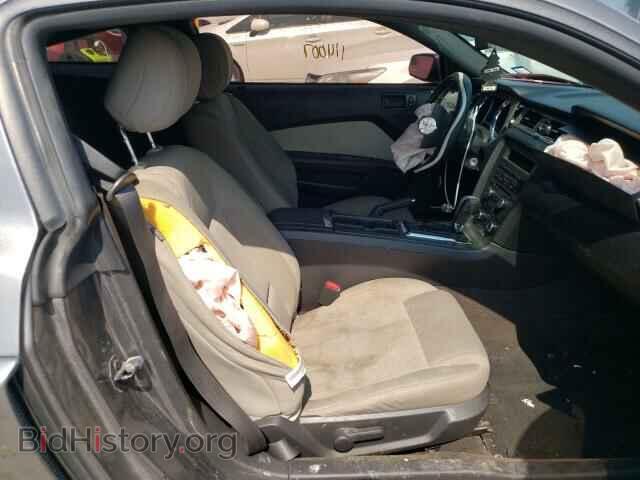 2013 FORD MUSTANG - VIN: 1ZVBP8AM0D5259257 - Фото 5
