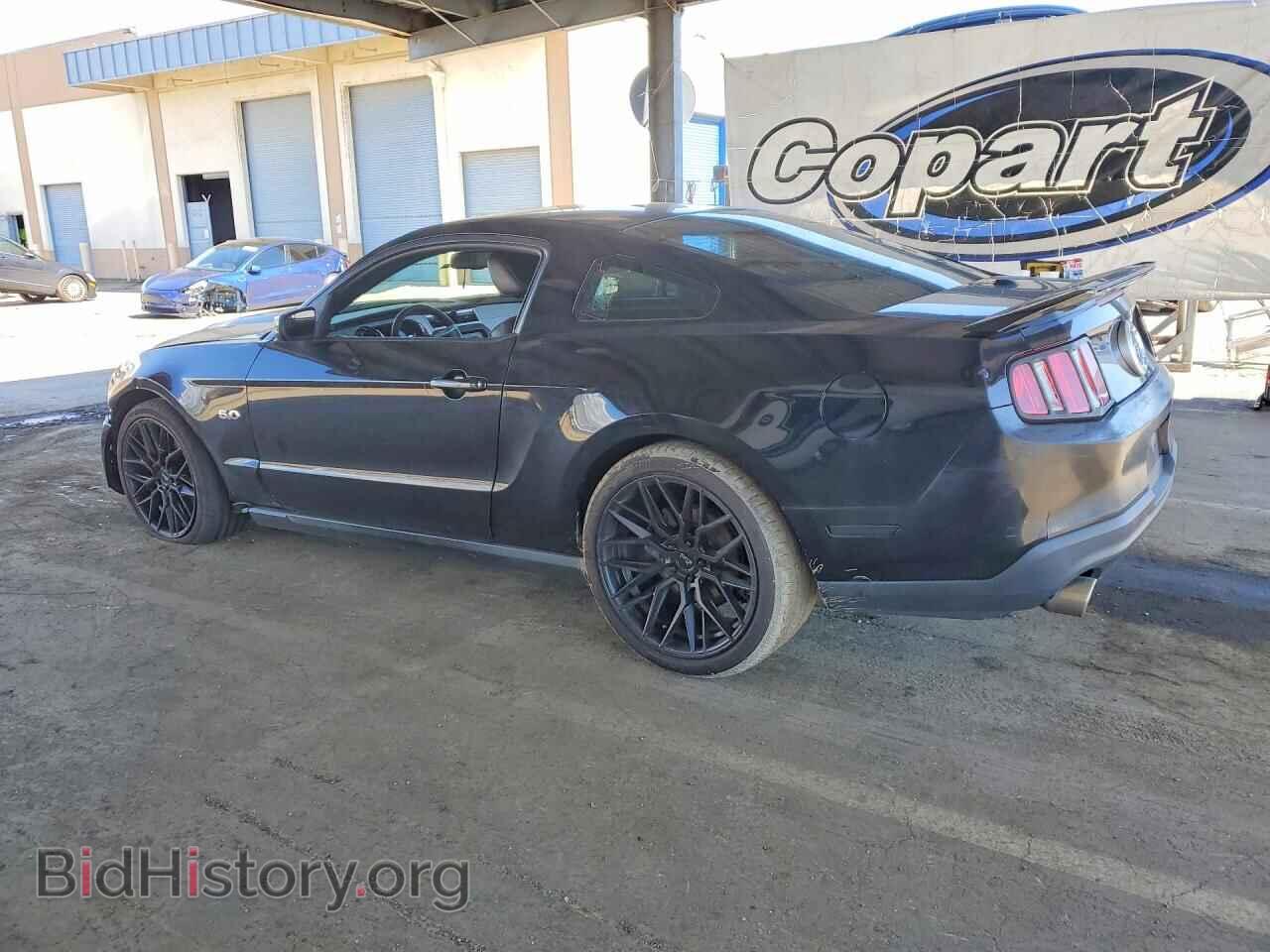 2011 FORD MUSTANG - VIN: 1ZVBP8CF2B5132036 - Фото 2