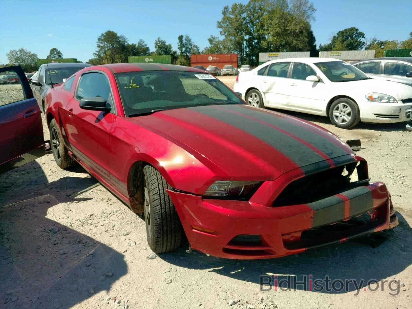 Photo 1ZVBP8AM4D5215309 - FORD MUSTANG 2013