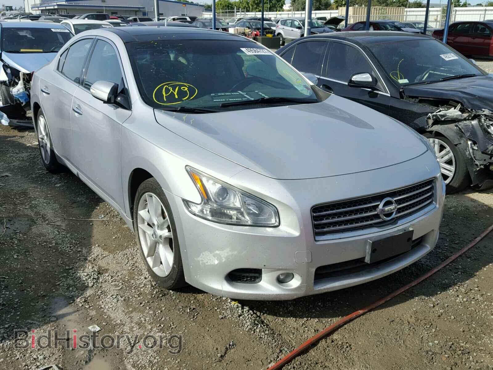 Photo 1N4AA5AP0BC841172 - NISSAN MAXIMA S 2011