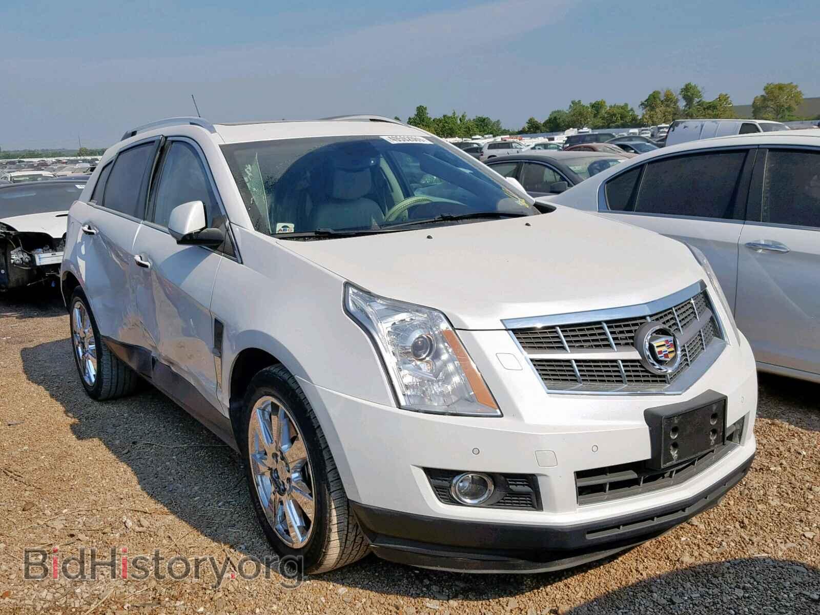 Photo 3GYFNEEY7AS615009 - CADILLAC SRX PERFOR 2010