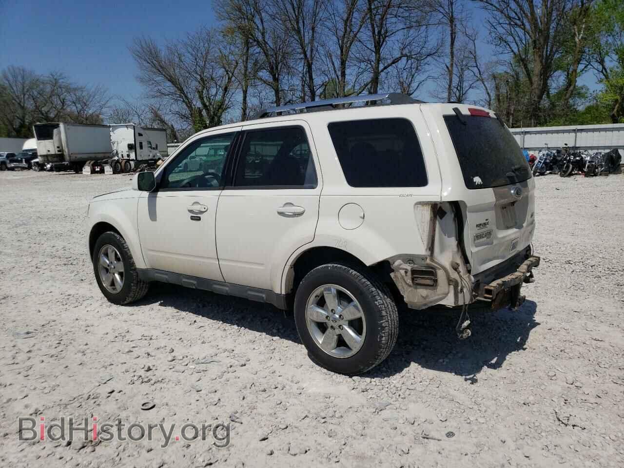 2011 FORD ESCAPE - VIN: 1FMCU9EG2BKC29794 - Фото 2