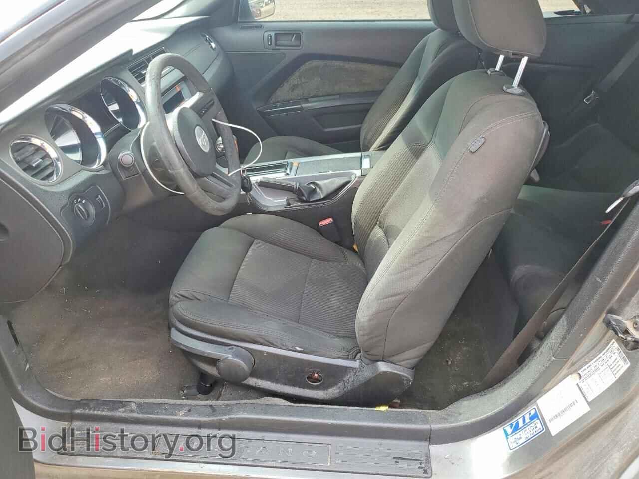 2010 FORD MUSTANG - VIN: 1ZVBP8EN2A5177903 - Фото 7